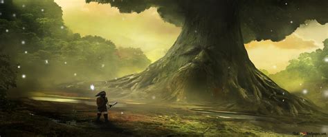 Backgrounds For Multiple Monitor Zelda Zelda Dual Legend Screen