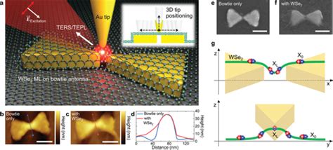 Paper Inducing And Probing Localized Excitons In Atomically Thin