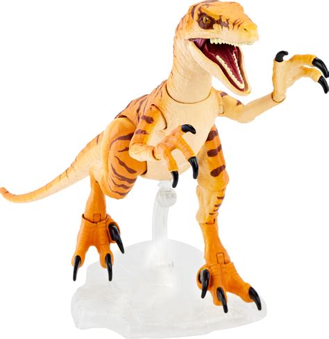 Buy Jurassic World Amber Collection Tiger Velociraptor 6 Inch Action Figure Online At Lowest