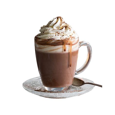 Hot Chocolate Coffee SipSavour Cafe