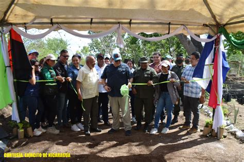 Inauguran Vivero Forestal En Chontales Radio La Primerisima