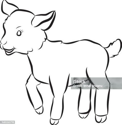 Kambing Clipart Hitam Putih Ilustrasi Stok Unduh Gambar Sekarang