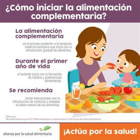 La Alimentaci N Complementaria Del Beb Y La Formaci N De H Bitos