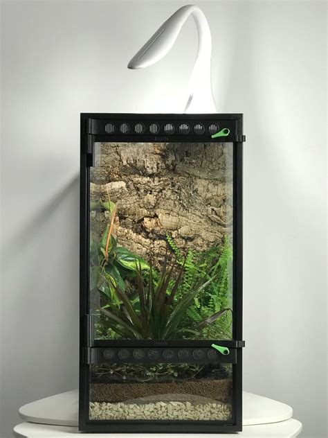 Frogcube Convert Your Aquarium Into A Terrarium Terrarium Fish