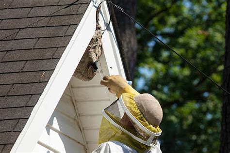 Services In Newport News National Exterminating Company Inc