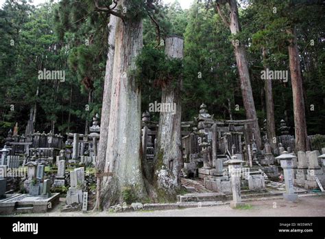 Okuno In Cemetary Koyasan Japan Stock Photo Alamy