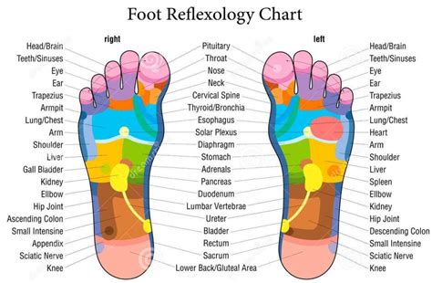 Reflexology Holistic Massage Therapist In Pontefract