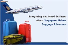 Singapore Airlines Baggage Allowance