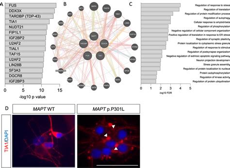 Common Differentially Expressed Long Non Coding Rnas Lncrnas Interact