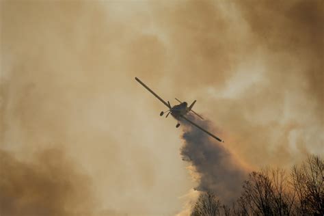 En Fotos Los Incendios En El Delta Del Paraná Ya Afectaron A Más De 10