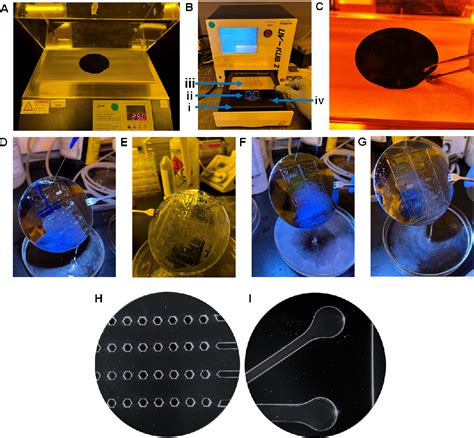 Figure 1 From A Protocol For Fabrication And On Chip Cell Culture To Recreate Pah Afflicted