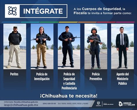 Convoca Fge A Integrarse A Los Cuerpos De Seguridad Omnia