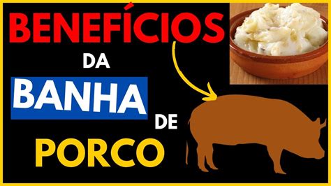 OS 10 Benefícios da Banha de Porco YouTube