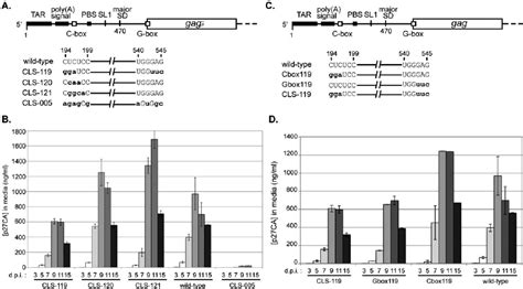 Replication Kinetics Of Mutant Hiv Viruses A A Schematic Of The