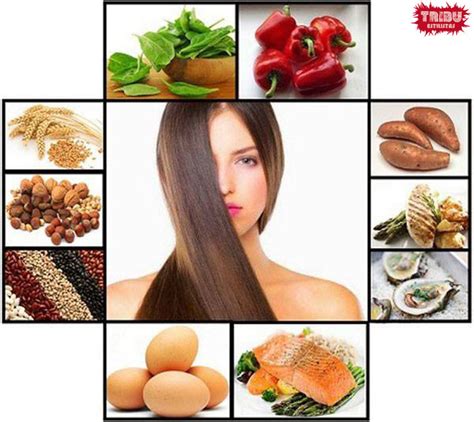 Alimentos Para Tu Cabello Este Verano Peluquería Tribu Estilistas