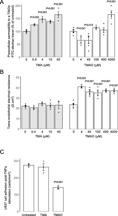 Effects Of Tmao And Tma On The Integrity Of Hcmec D3 Cell Monolayers A Download Scientific