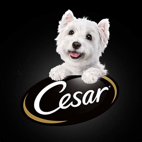 CESAR Canine Cuisine - YouTube