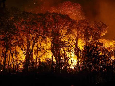 Amaz Nia Em Chamas Brasil Bate Novo Recorde De Inc Ndios Florestais