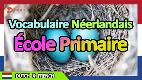 Apprendre le Néerlandais Vocabulaire Néerlandais école primaire