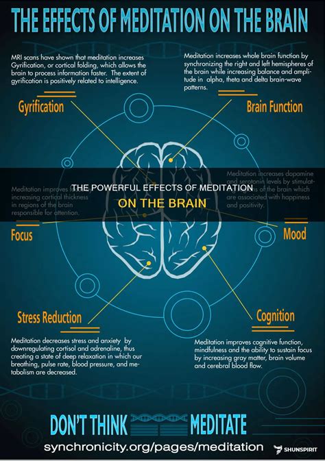 The Powerful Effects Of Meditation On The Brain Shunspirit