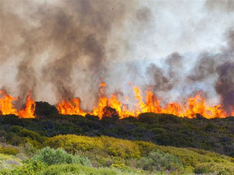 Hollywood Celebrity Prays Psalm 91 Deadly California Fire Miraculously