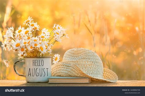 August Summer Backgrounds 