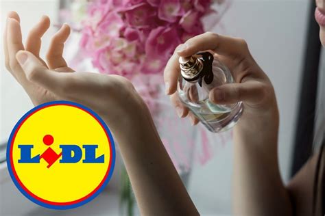 Tutti Pazzi Per I Profumi Di Lidl A Soli Euro Vi Sveliamo A