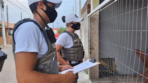 Brigada Militar de Cachoeirinha registra queda nos índices de violência