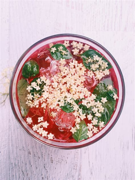 Classic Homemade Elderflower Cordial Recipe Bacon Is Magic