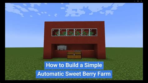 How To Build A Simple Automatic Sweet Berry Farm Youtube