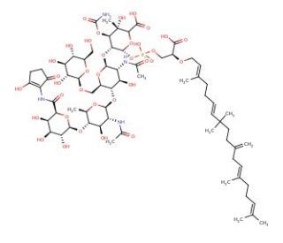 Moenomycin complex | CAS 11015-37-5 | SCBT - Santa Cruz Biotechnology