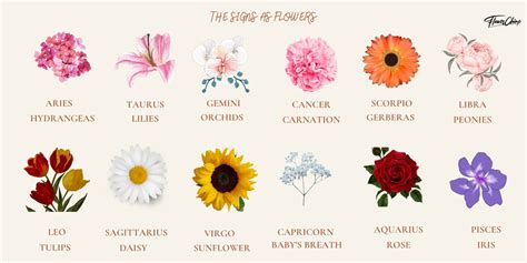 The Perfect Flowers for Each Zodiac Sign