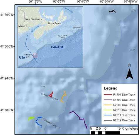 Frontiers Hydrodynamic Connectivity Of Habitats Of Deep Water Corals