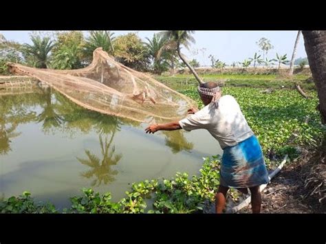 Fishing With Net Catching Fish With A Cast Net By Village Pond