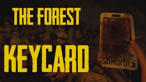 Keycard the forest - silopegen