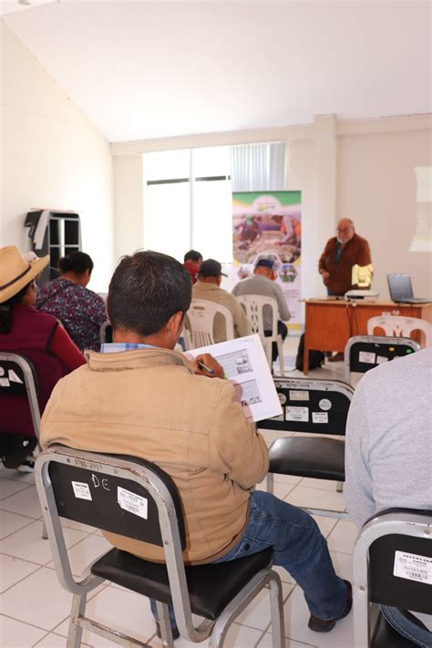 Capacitaci N En Enfermedades De Presentaci N N En Ganado Ovino Y