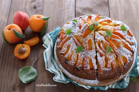 Torta Soffice Alle Albicocche Ricetta Facile E Velocissima