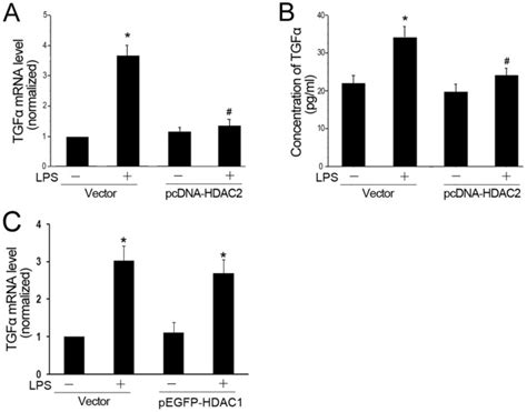 Cells Were Transfected With The Pcdna Hdac And A Control Vector For