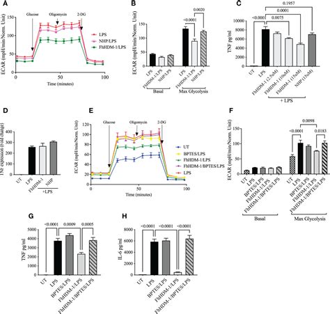 Frontiers The Helminth Derived Peptide FhHDM 1 Redirects Macrophage