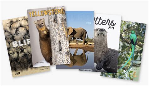 Max Waugh Nature Photography Wildlife Photos And Seattle Sports
