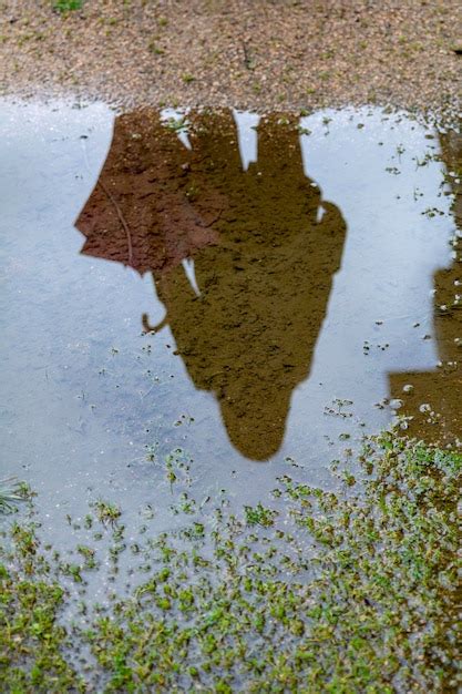 Reflexo de uma mulher em uma poça de água no chão Foto Premium