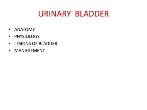 urinary bladder innervation and syndromes | PPT