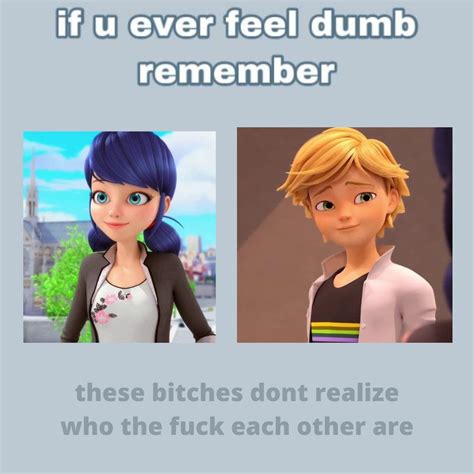 Fb Memes Best Memes Miraculous Ladybug Memes Inside Job Axo