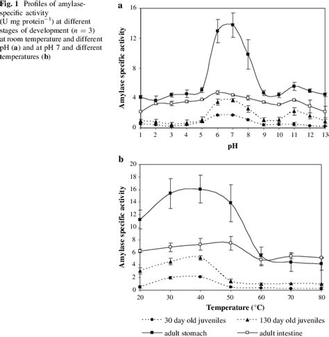 Profiles Of Amylasespecific Activity U Mg Protein At Different