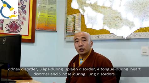 Diagnosis Of Traditional Mongolian Medicine Youtube