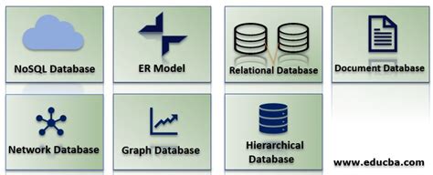 Types of DBMS | Top 7 Types of Database Management System To Know