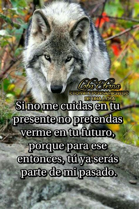 Lobo Solitario Frases De Lobos Guerreros