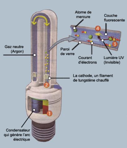 Ampoule Fluocompacte Ekopedia