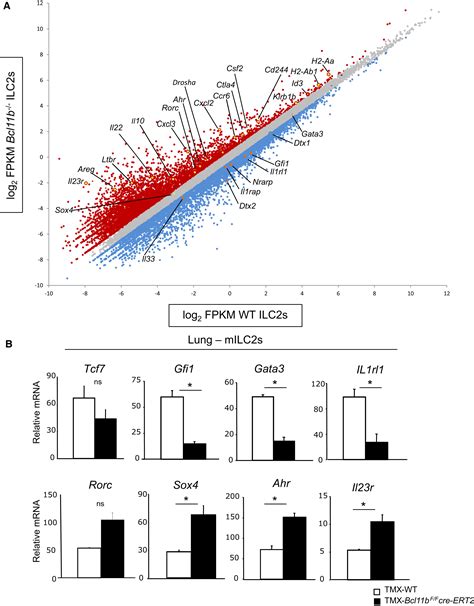 Transcription Factor Bcl11b Controls Identity And Function Of Mature