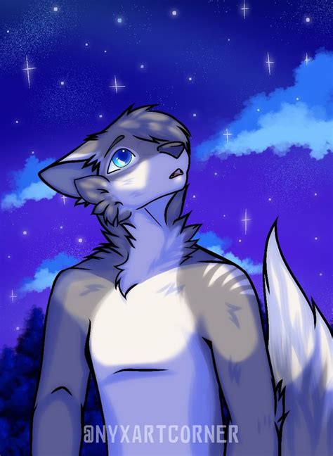 Night Skies Furry Art Furry Artist